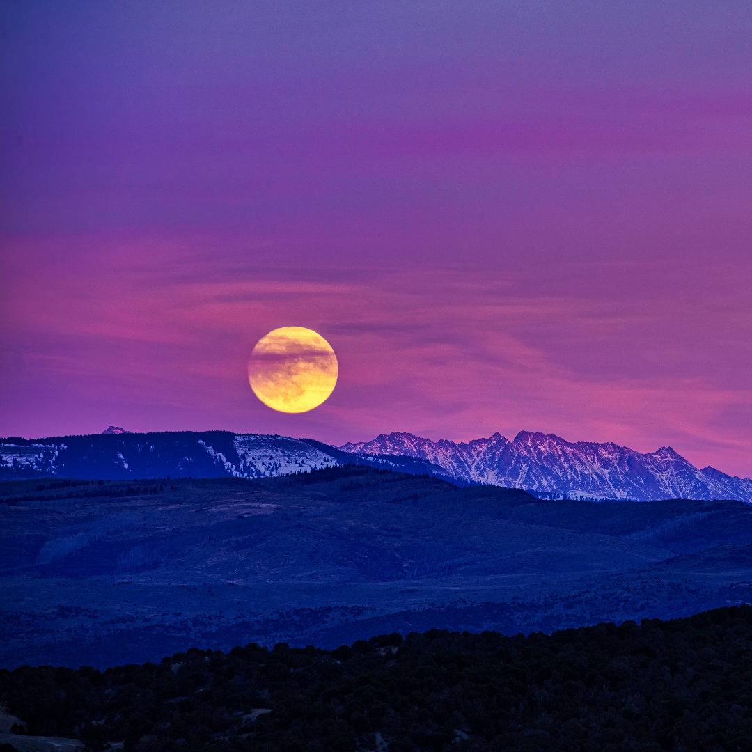 Full Pink Moon