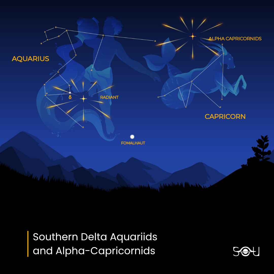 The Southern Delta Aquariid and Alpha Capricornid meteor showers